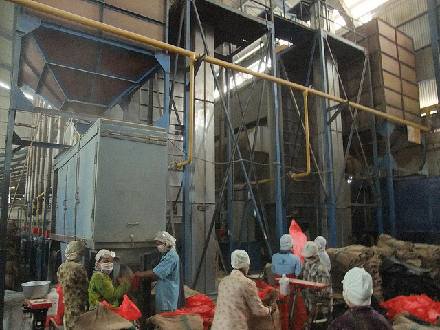 Groundnut Processing Plant in Africa