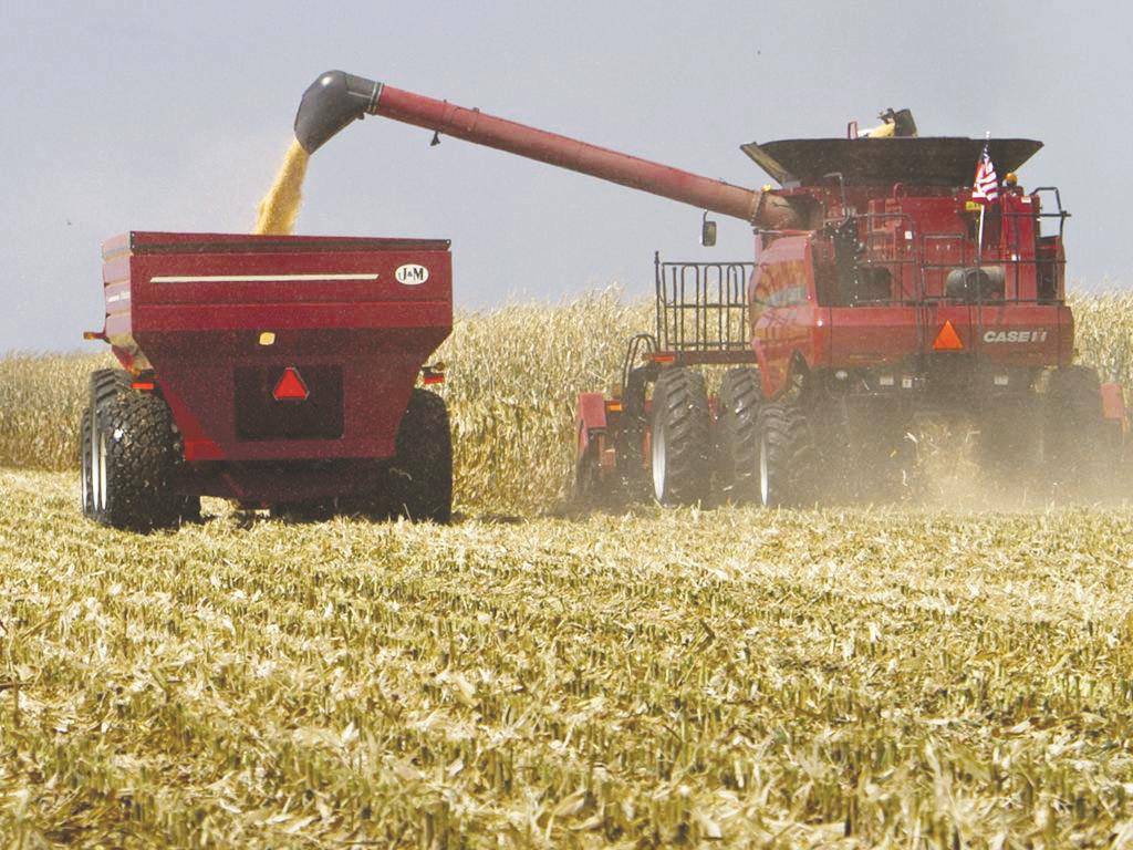 Africa records drop in cereal production