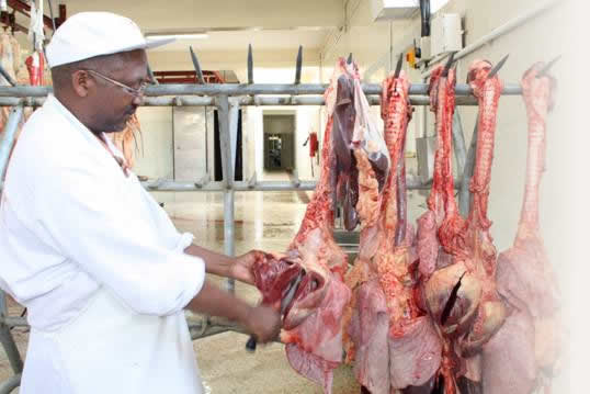 African Quality Meat