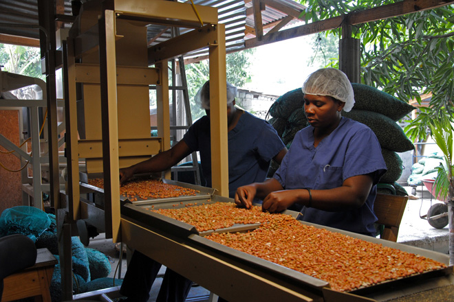 Peanut Processing in Africa