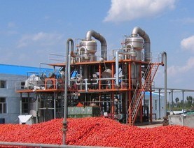 Ketchup Tomato paste Production in Africa