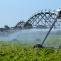 Irrigated Vegetable Production in Africa